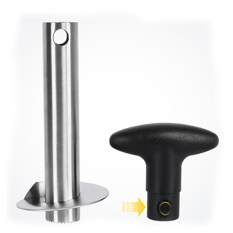 1Pc Stainless Steel Easy to us - مراجعة Pineapple Corer Slicer وسعره
