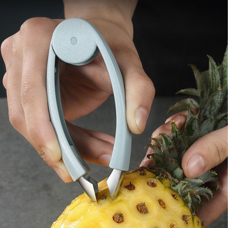 2/1pcs Pineapple Eye Remover C - مراجعة Pineapple Corer Slicer وسعره