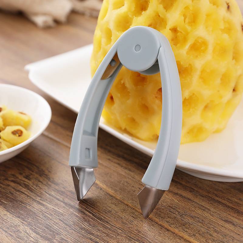 2/1pcs Pineapple Eye Remover C - مراجعة Pineapple Corer Slicer وسعره